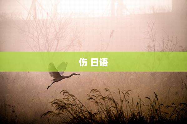 伤 日语