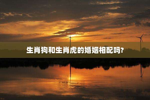 生肖狗和生肖虎的婚姻相配吗?