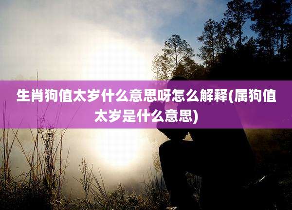 生肖狗值太岁什么意思呀怎么解释(属狗值太岁是什么意思)