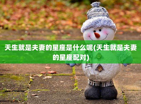 天生就是夫妻的星座是什么呢(天生就是夫妻的星座配对)