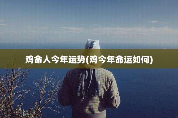 鸡命人今年运势(鸡今年命运如何)