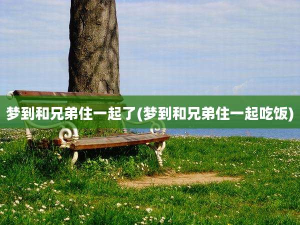 梦到和兄弟住一起了(梦到和兄弟住一起吃饭)