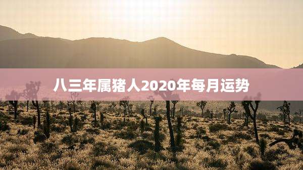 八三年属猪人2020年每月运势