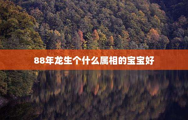 88年龙生个什么属相的宝宝好