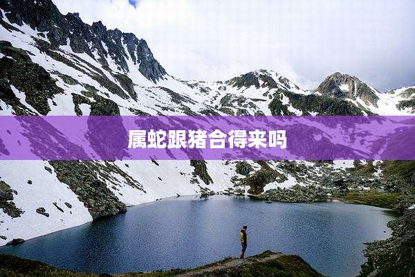 属蛇跟猪合得来吗
