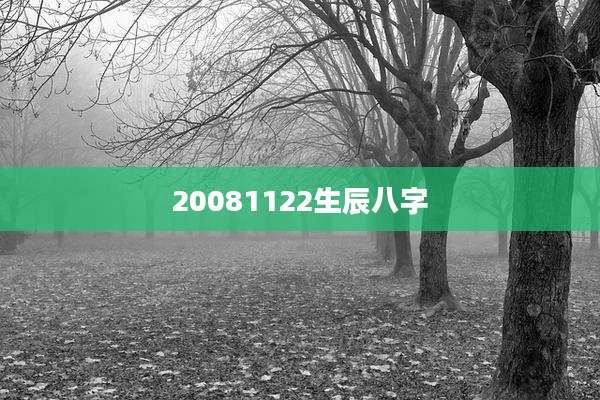 20081122生辰八字