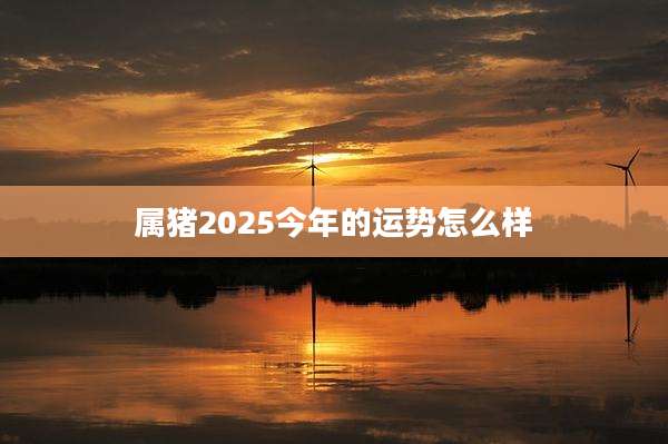 属猪2025今年的运势怎么样