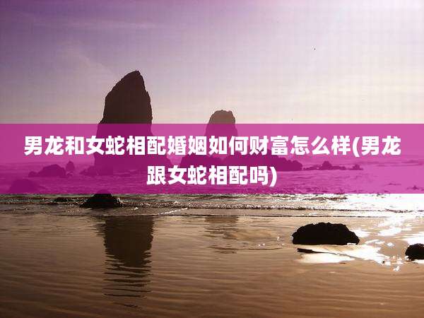男龙和女蛇相配婚姻如何财富怎么样(男龙跟女蛇相配吗)