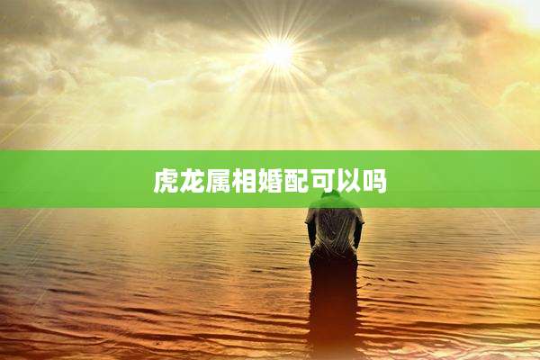 虎龙属相婚配可以吗