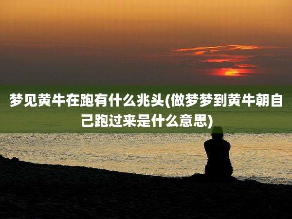 梦见黄牛在跑有什么兆头(做梦梦到黄牛朝自己跑过来是什么意思)