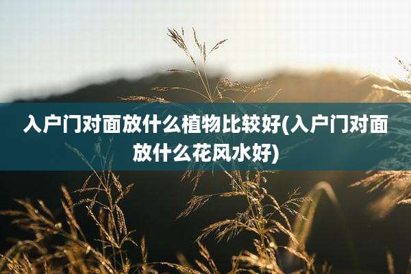 入户门对面放什么植物比较好(入户门对面放什么花风水好)