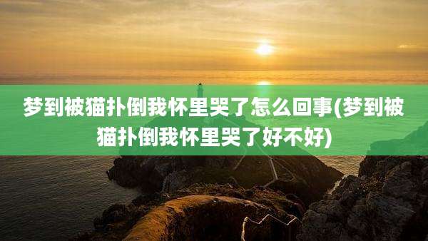 梦到被猫扑倒我怀里哭了怎么回事(梦到被猫扑倒我怀里哭了好不好)