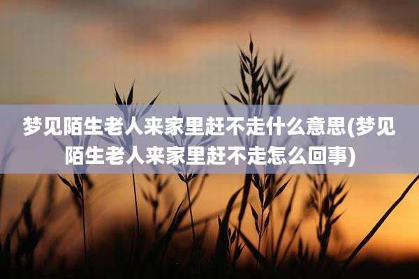 梦见陌生老人来家里赶不走什么意思(梦见陌生老人来家里赶不走怎么回事)