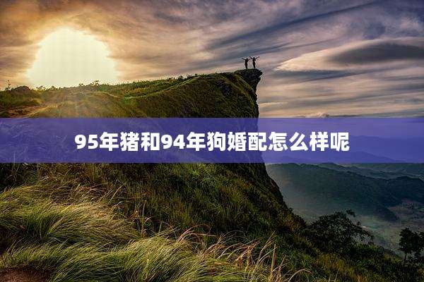 95年猪和94年狗婚配怎么样呢