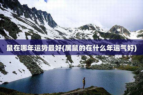 鼠在哪年运势最好(属鼠的在什么年运气好)