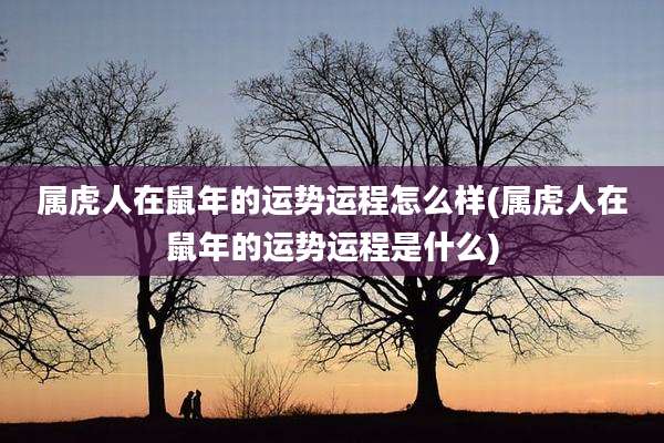 属虎人在鼠年的运势运程怎么样(属虎人在鼠年的运势运程是什么)