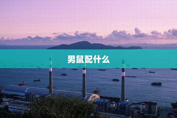 男鼠配什么