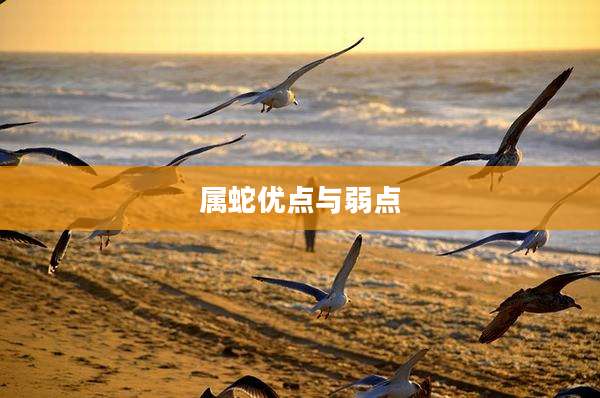 属蛇优点与弱点