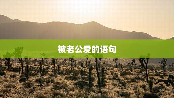 被老公爱的语句