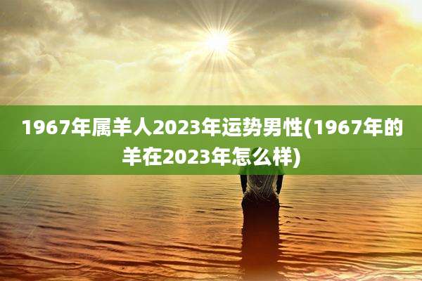 1967年属羊人2023年运势男性(1967年的羊在2023年怎么样)