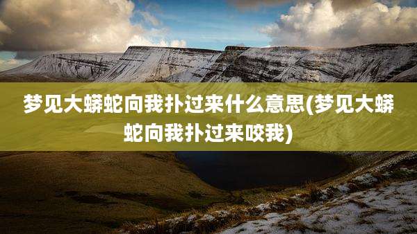 梦见大蟒蛇向我扑过来什么意思(梦见大蟒蛇向我扑过来咬我)