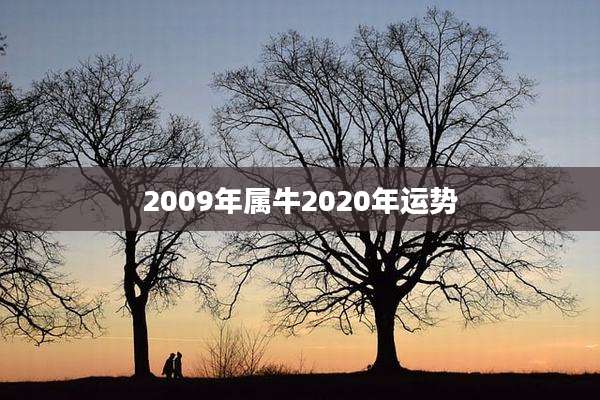 2009年属牛2020年运势