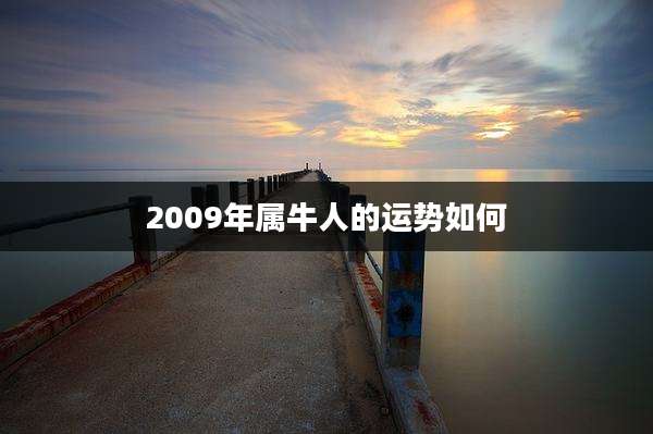 2009年属牛人的运势如何
