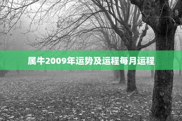 属牛2009年运势及运程每月运程