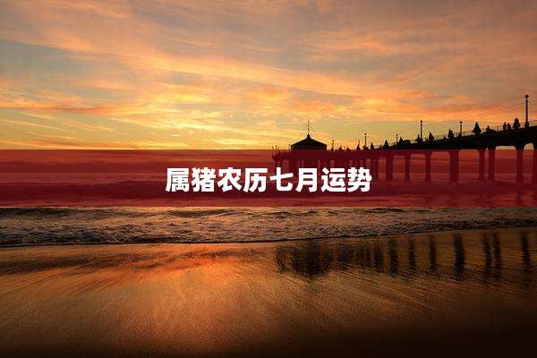 属猪农历七月运势