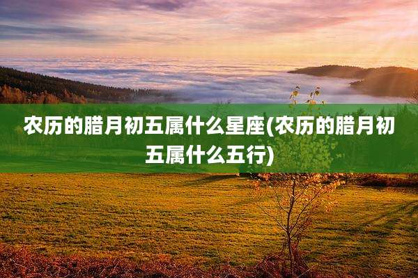 农历的腊月初五属什么星座(农历的腊月初五属什么五行)