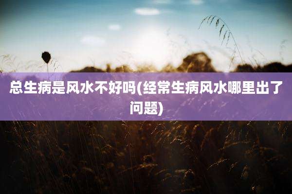 总生病是风水不好吗(经常生病风水哪里出了问题)