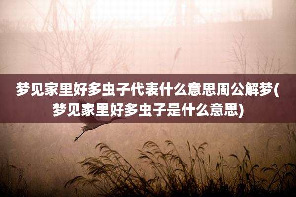 梦见家里好多虫子代表什么意思周公解梦(梦见家里好多虫子是什么意思)