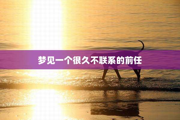 梦见一个很久不联系的前任