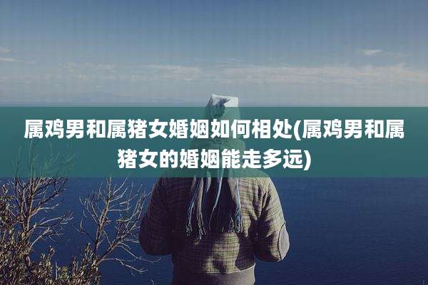 属鸡男和属猪女婚姻如何相处(属鸡男和属猪女的婚姻能走多远)