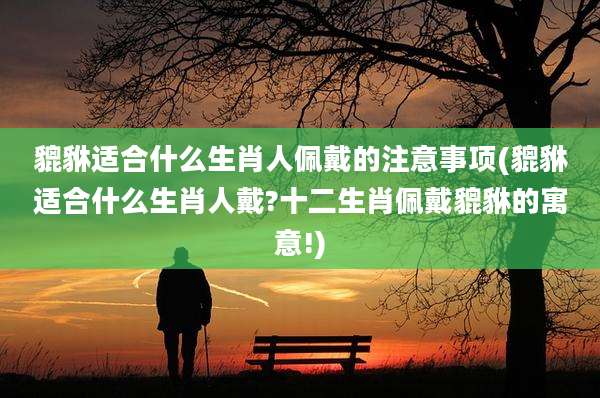 貔貅适合什么生肖人佩戴的注意事项(貔貅适合什么生肖人戴?十二生肖佩戴貔貅的寓意!)