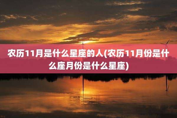 农历11月是什么星座的人(农历11月份是什么座月份是什么星座)