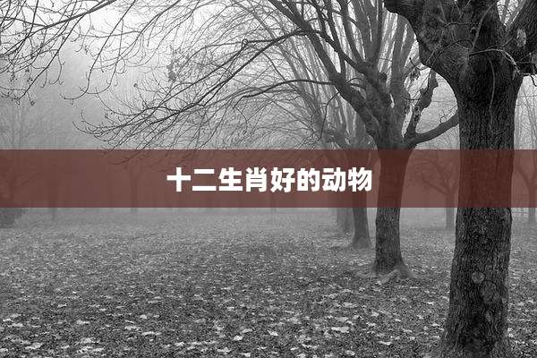 十二生肖好的动物