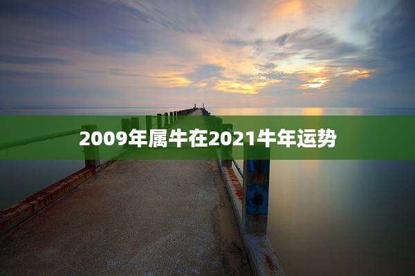 2009年属牛在2021牛年运势