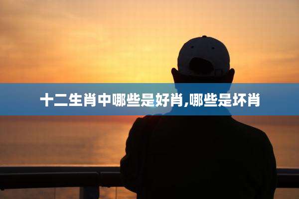 十二生肖中哪些是好肖,哪些是坏肖