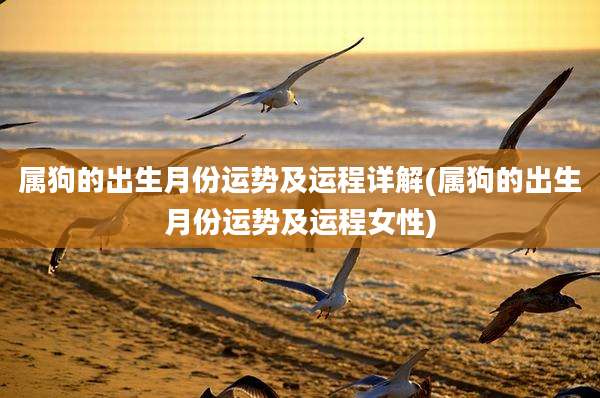 属狗的出生月份运势及运程详解(属狗的出生月份运势及运程女性)