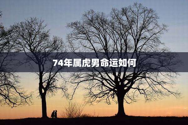 74年属虎男命运如何