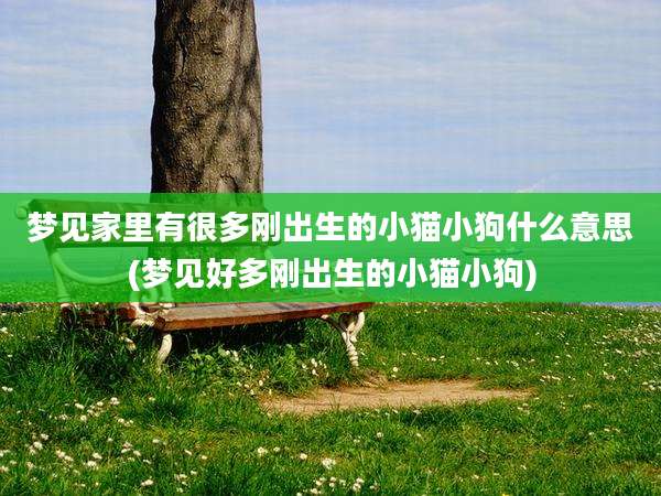 梦见家里有很多刚出生的小猫小狗什么意思(梦见好多刚出生的小猫小狗)