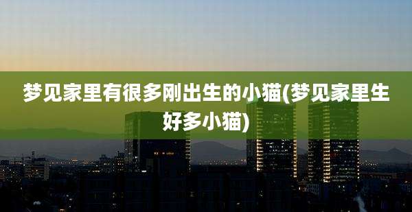 梦见家里有很多刚出生的小猫(梦见家里生好多小猫)