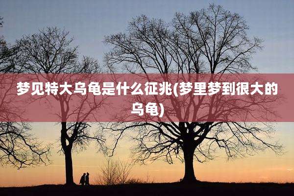 梦见特大乌龟是什么征兆(梦里梦到很大的乌龟)