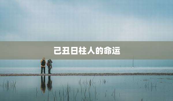 己丑日柱人的命运