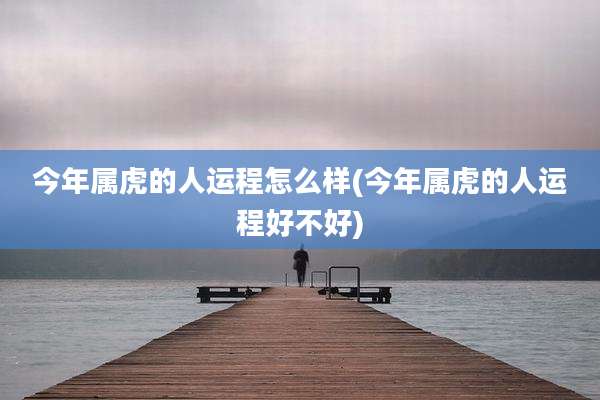 今年属虎的人运程怎么样(今年属虎的人运程好不好)