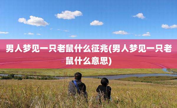 男人梦见一只老鼠什么征兆(男人梦见一只老鼠什么意思)