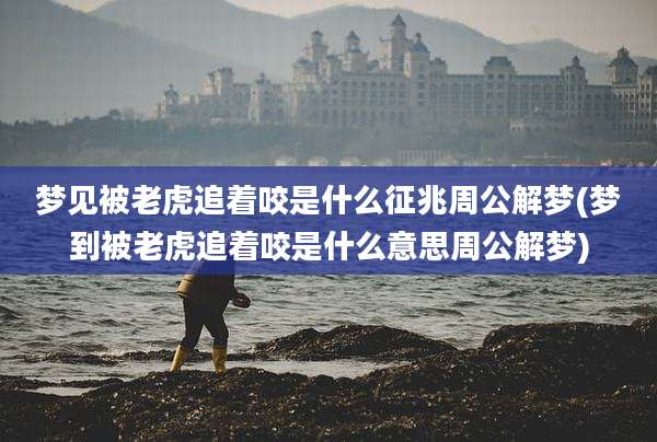 梦见被老虎追着咬是什么征兆周公解梦(梦到被老虎追着咬是什么意思周公解梦)