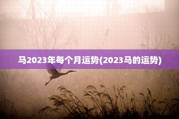 马2023年每个月运势(2023马的运势)