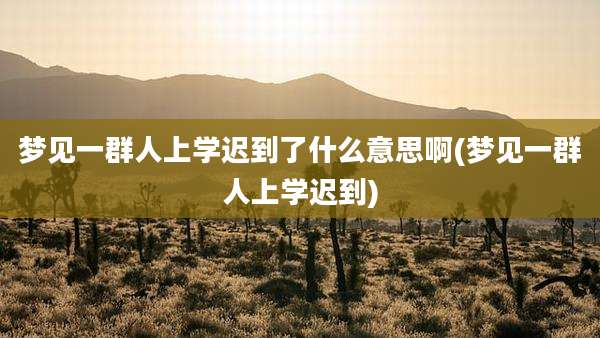 梦见一群人上学迟到了什么意思啊(梦见一群人上学迟到)